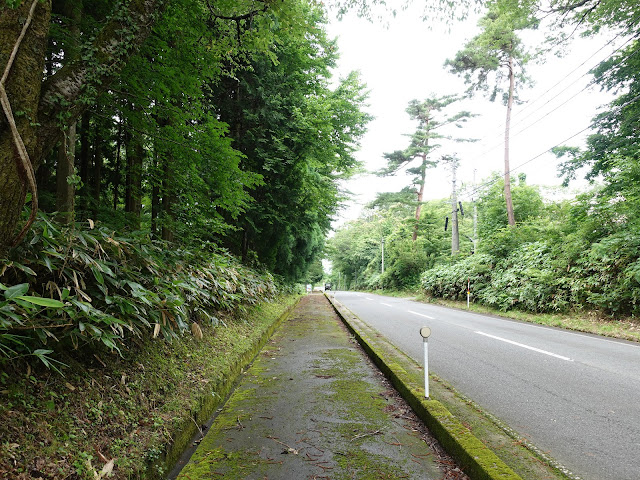 鳥取県道52号岸本江府線　鳥取県西伯郡伯耆町