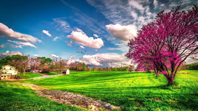 SPRING HD WALLPAPERS  07