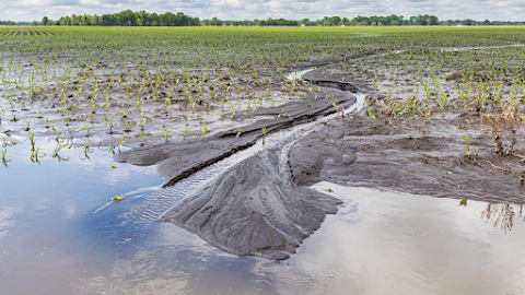 Climate Change and the Rising Cost of Living: An Economic Perspective