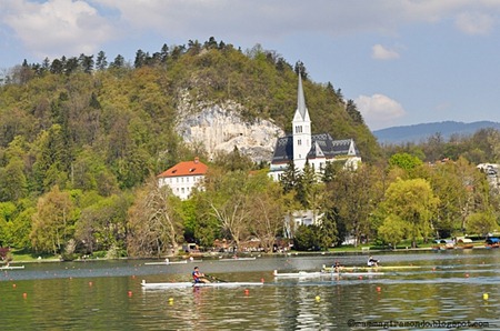 Gara sul Lago di BledDSC_1130