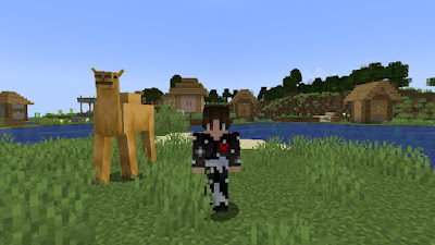 Como encontrar camellos en Minecraft
