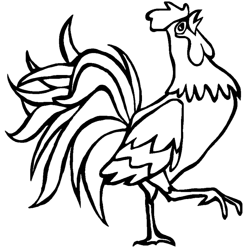 Ide Terkini Contoh Mewarnai Gambar Ayam