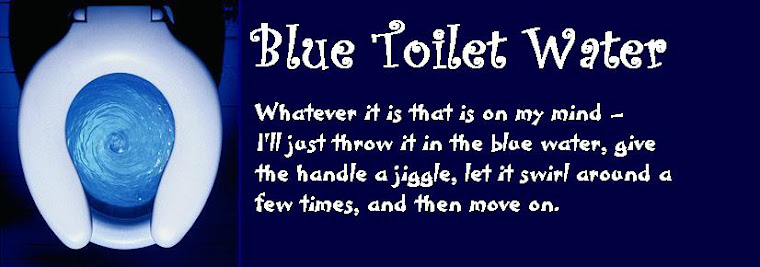 Blue Toilet  Water