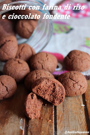 Biscotti al cioccolato