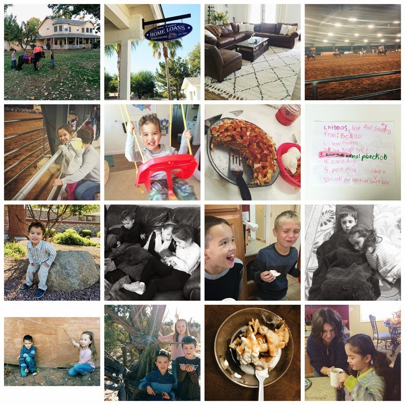 PicMonkey Collage12-3-14