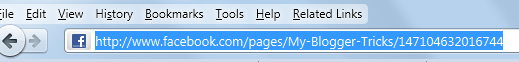Facebook Page URL