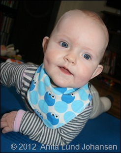 2012-01-27 008 007