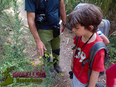 Campamento de verano en la Naturaleza