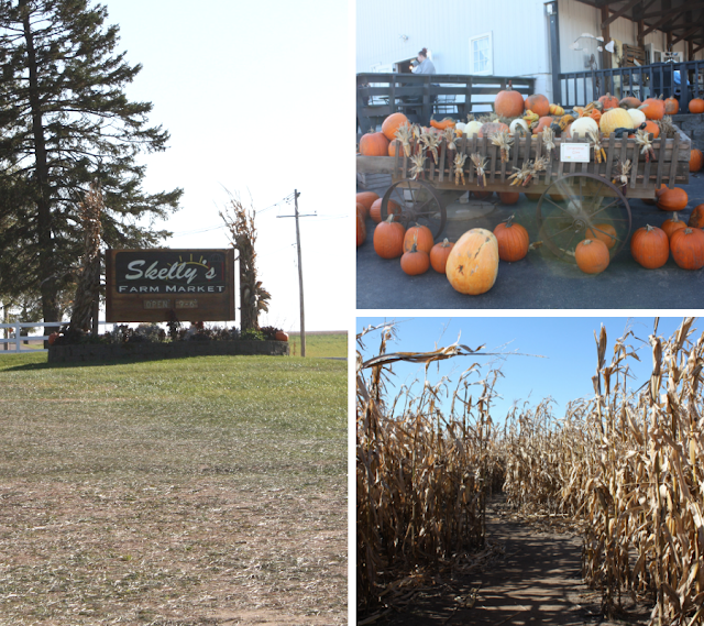 Harvest Fun, Two Corn Mazes and More at Skelly's Farm Market in Janesville, Wisconsin