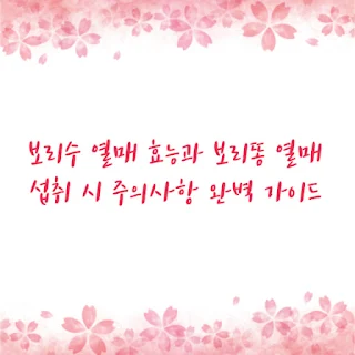 보리수 열매 효능과 보리똥 열매 섭취 시 주의사항 완벽 가이드