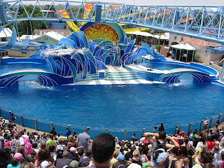 Blue Horizon Dolphin show, Sea World, San Diego