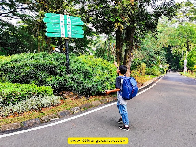 Belajar membaca petunjuk jalan sambil wisata edukasi di kebun raya Bogor