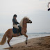 [Guest Blog] Top Vacation Destinations for Horseback Riding