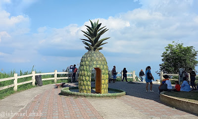 Pineapple at Tagaytay People's Park
