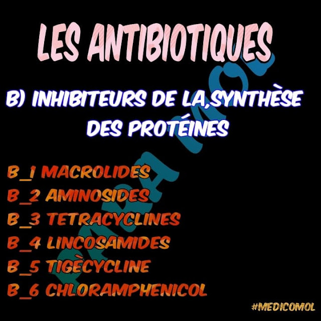 ANTIBIOTIQUES  B) INHIBITEURS DE LA SYNTHÈSE DES PROTEINS