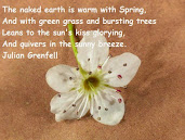 #10 Amazing Flowers Quotes Wallpapers