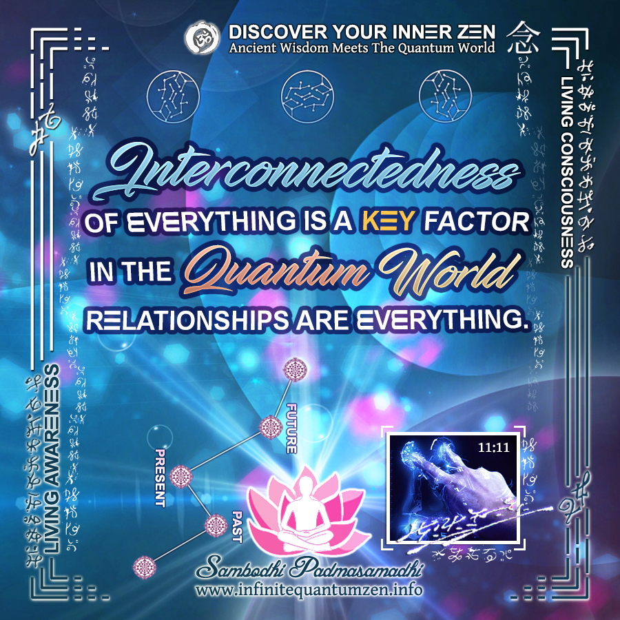 Interconnectedness of Everything is a Key Factor in the Quantum World - Relationships are Everything - Infinite Quantum Zen, Success Life Quotes