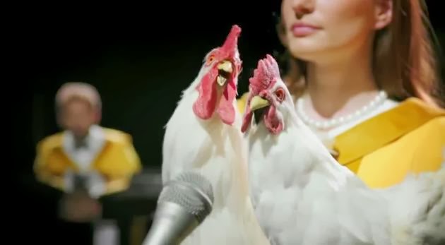 Foster Farms Amazing Singing Chickens 