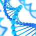 University of North South Wales to hosts genetic conference AustralAsia