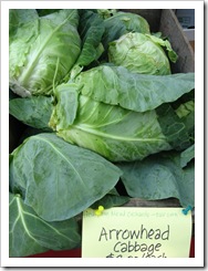 cabbage arrowhead