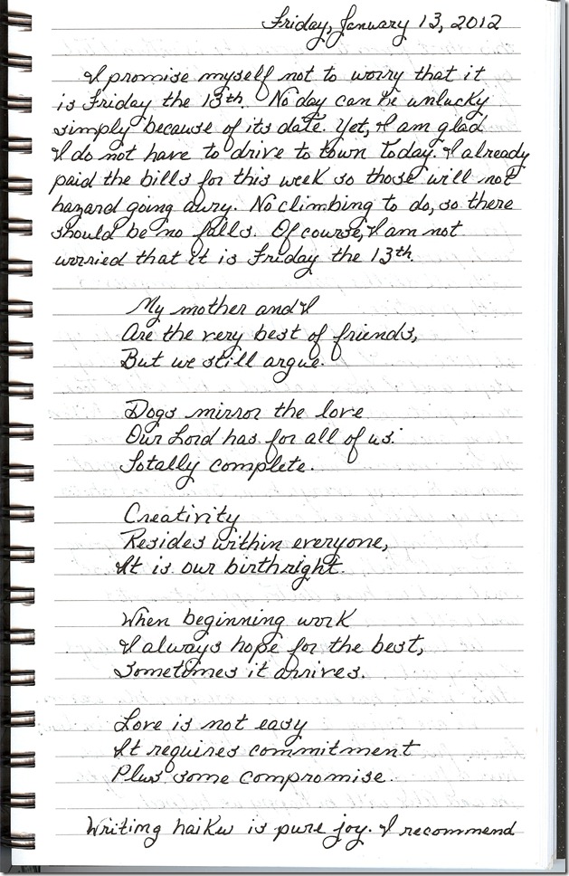 Journal 1-13-20120001