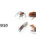 To Provide a Warranty Protection with Pest Control Services