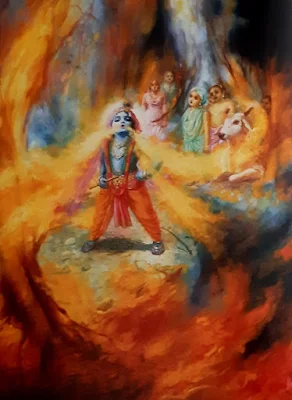 Why did krishna drink the fire/प्रभु श्री कृष्ण ने आग को क्यों पिया ?