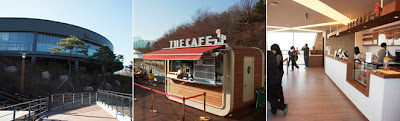 Restaurant and Cafe Dream Forest Seoul