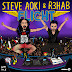 Steve Aoki & R3hab - Flight