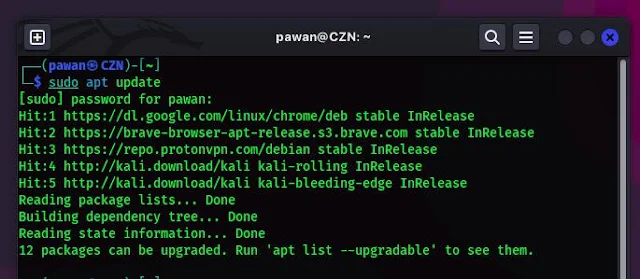 Kali Linux system update