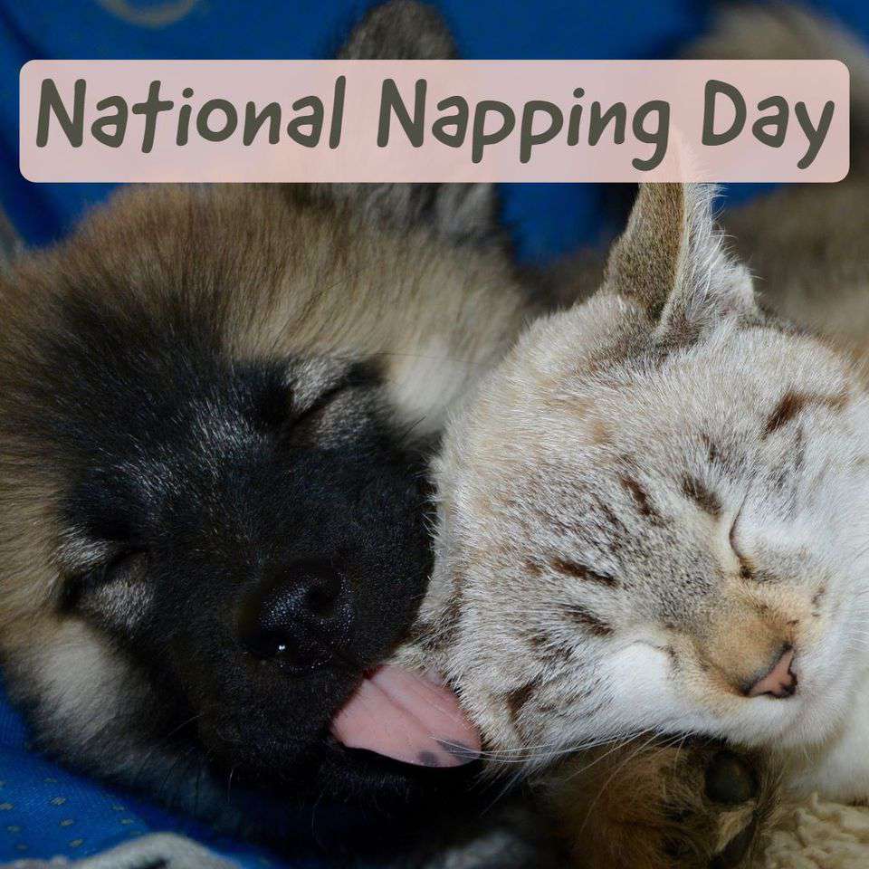 National Napping Day Wishes Beautiful Image