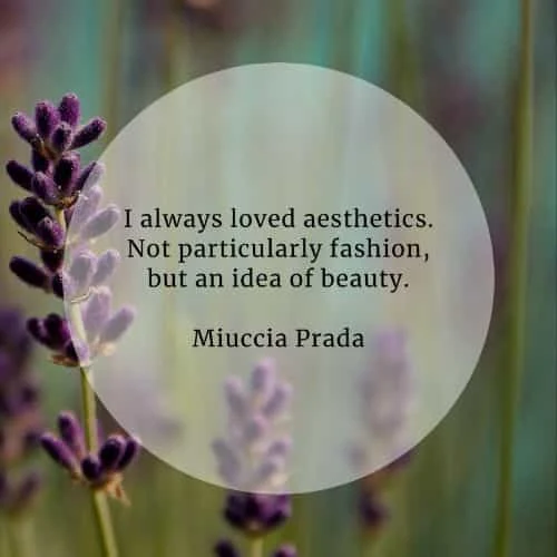 Aesthetic quotes that'll make you admire the beautiful
