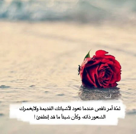 صور ورد خلفيات ورد 2025