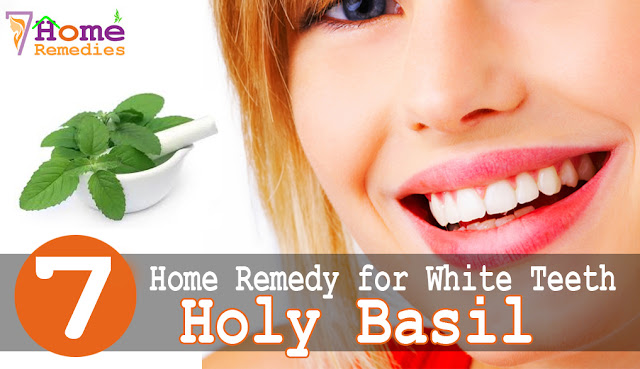 Holy Basil for white teeth