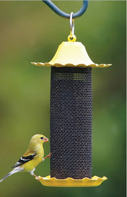 Seed Bird Feeder