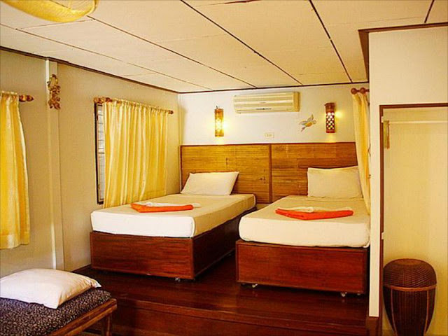 Deluxe Air Twin room