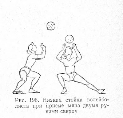 Низкая стойка волейбо­листа при приеме мяча двумя ру­ками сверху