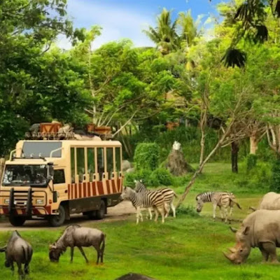 discover-lildlife-with-jungle-hopper-at-bali-safari-park