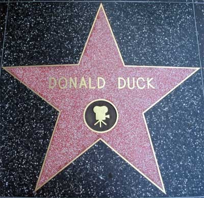 Stars Hollywood on Disney Chick  Donald Duck Fun Fact Friday   Walk Of Fame
