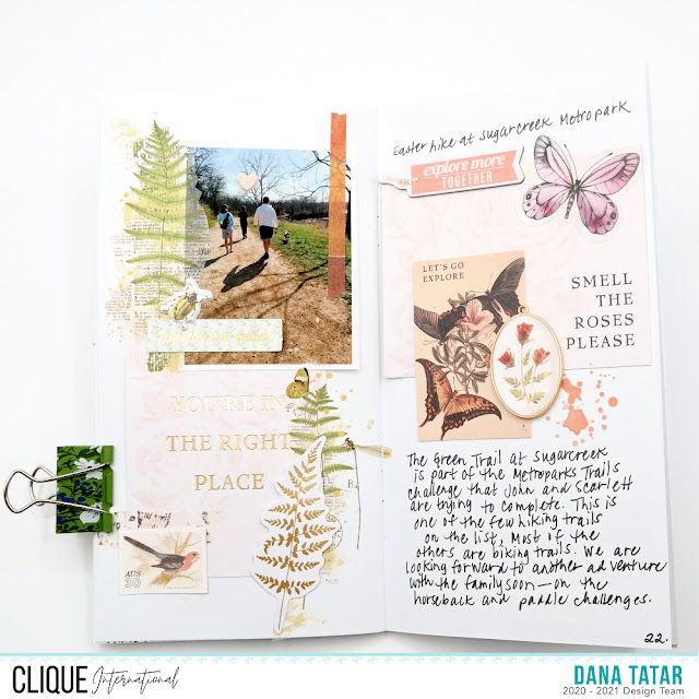 How to identify native plants and journal the findings using the gorgeous Prima Marketing Nature Lover Collection and a Traveler's Notebook Insert.