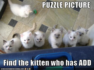 Source: http://carelearningacademy.com/wp-content/uploads/2013/03/addkittens.jpg