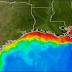 U-M researcher,colleagues predict possible record-setting Gulf of Mexico 'dead zone'