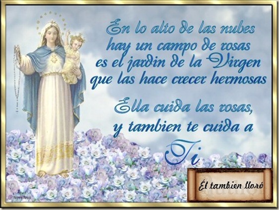 LLORÓ-JULIO158