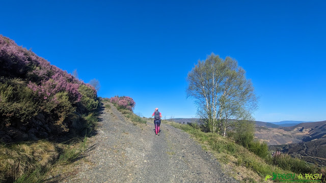 Subiendo por la pista al Puerto de Cienfuegos