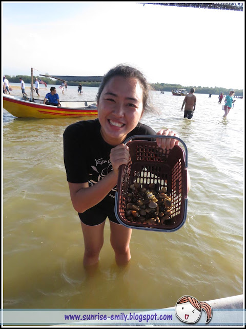 Clam Digging @ Kampung Mangkuk, Setiu, Terengganu