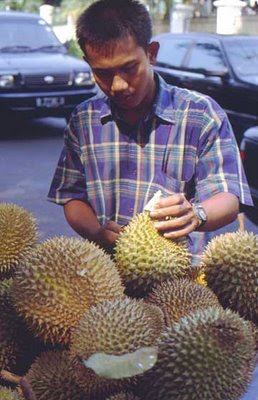 Durian Fruit