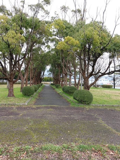 海浜公園の円形広場からの街路樹のある通りが綺麗です