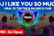Download Lagu DJ Tik Tok Viral I LIKE YOU SO MUCH Terbaru 2020