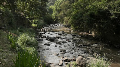 Bandung Ada Hidden Gem Jogging Track dengan Suasana Asri, Ini Dia Lokasinya