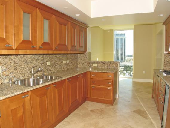 Gourmet Kitchen Cabinets